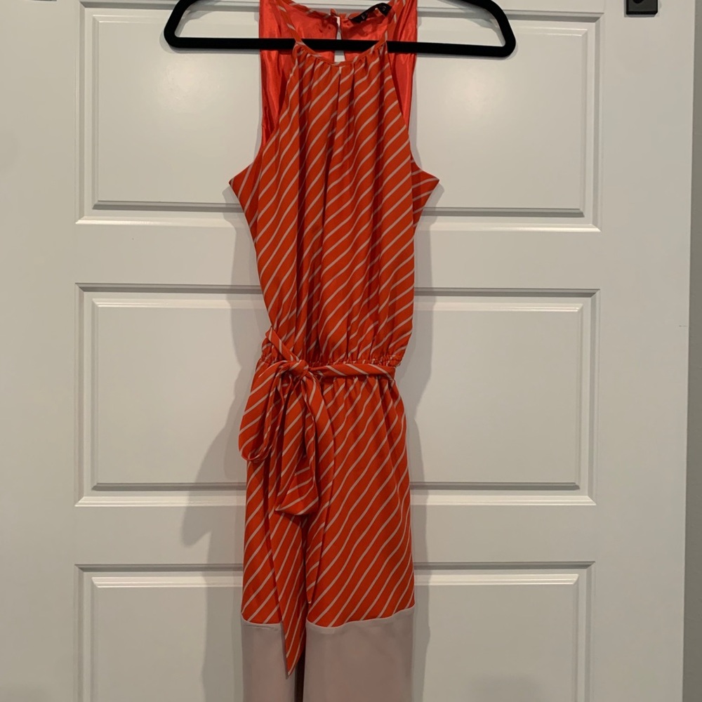 Express Dress - Picture 6 of 7